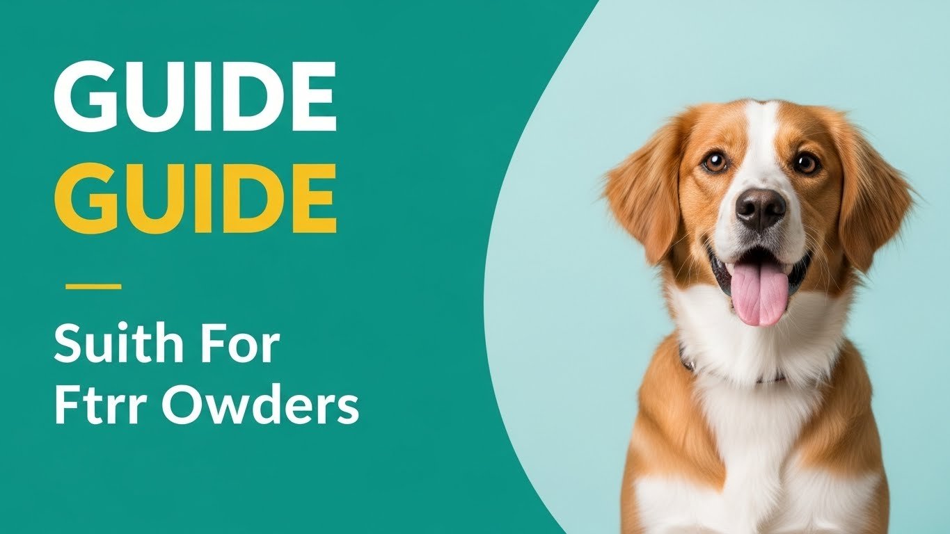 Is It Illegal to Leave a Dog in a Car