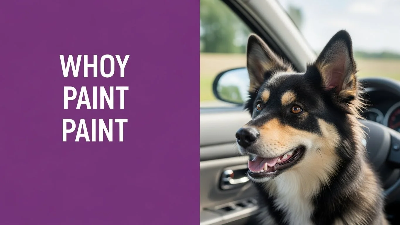 When dogs are under stress, they pant.