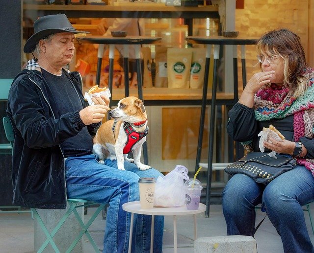 Are Dogs Allowed in Whole Foods