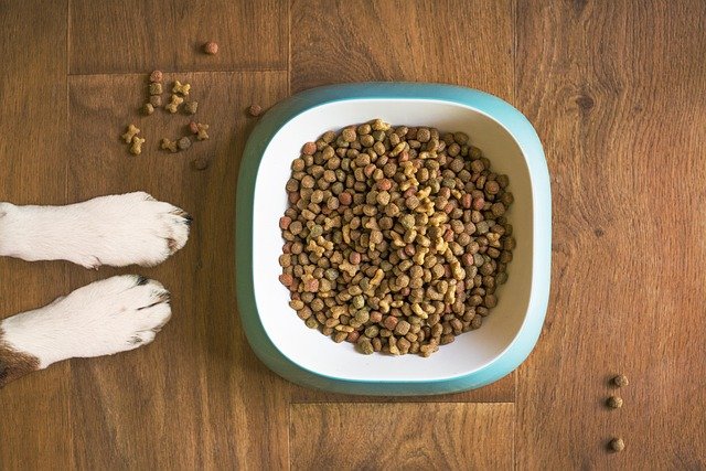 Grain-Free Dog Food