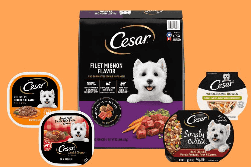 Is Cesar Food Good for Dogs