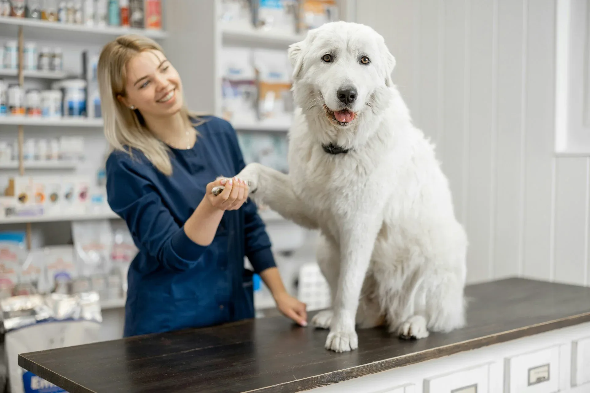 Boost Your Pet's Health with Supplements