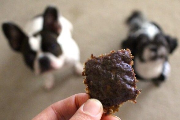 Giving Your Dog Beef Jerky Safely