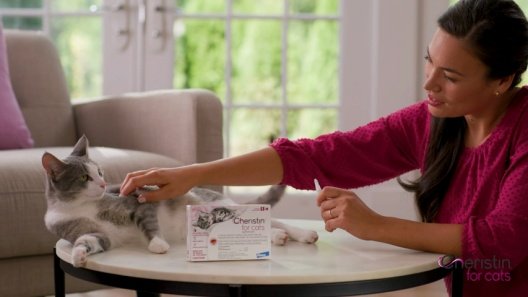 Is Cheristin Safe for Cats