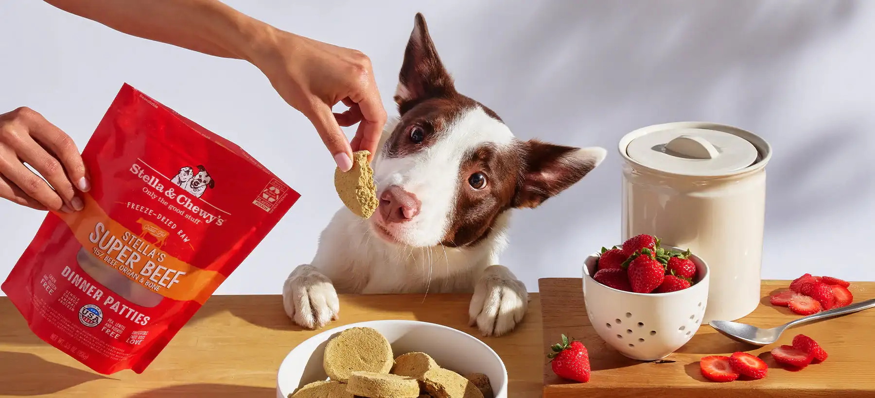 Stella & Chewy’s Dog Food