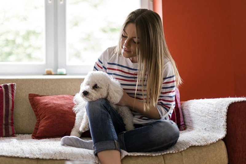 Can Dogs Living in Apartments