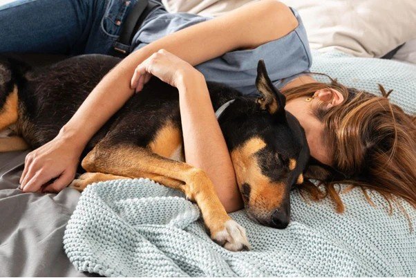 Dog Feel Comfortable Sleeping by Your Side