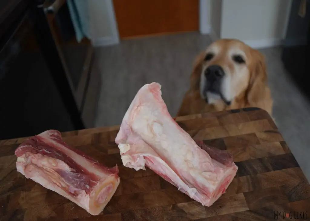 Give Dogs Pork Bones