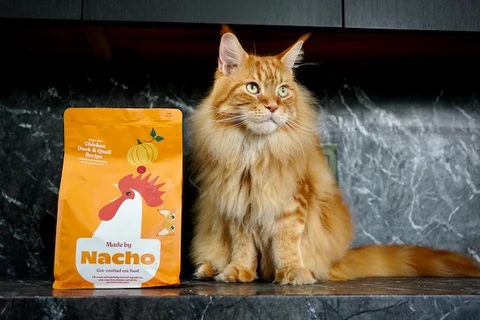 Nacho Cat Food