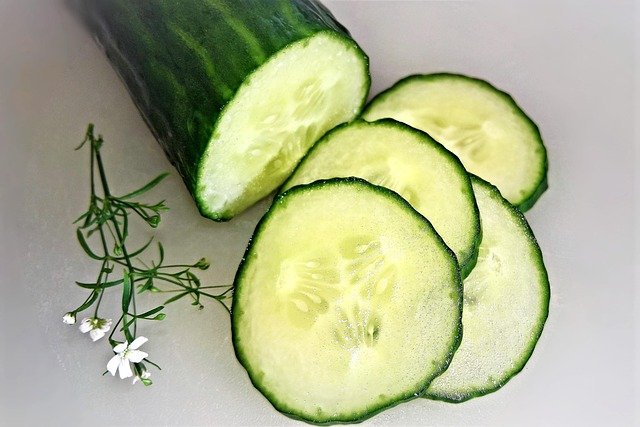 Are Dogs Allergic to Cucumbers