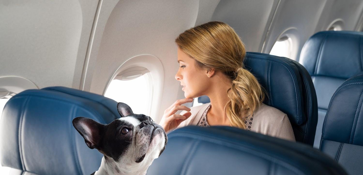 Fly A Dog With Delta