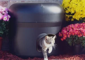 Warm Shelters for Outdoor Cats